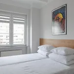 بيت شباب Moho Xl *